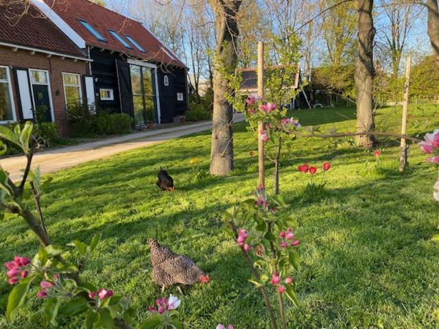 B&B Boerderij De Vaete - Duurzaam Genieten In De Zak Van Zuid-Beveland Heinkenszand 外观 照片
